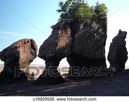 Stock Photograph -  Canada, New Brunswick, Bay of Fundy, Hopewell Cape, Hopewell Rocks Ocean Tidal Exploration Site, Flower Pot Rocks. Fotosearch