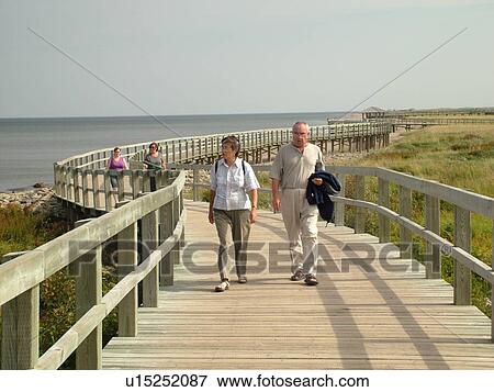 Canada, New Brunswick, Bouctouche, Acadian Coastal Drive, La Dune de Bouctouche, Irving Eco-Centre, Boardwalk across the sand dunes along Bouctouche Bay. View Large Photo Image Stock Photo - Canada, New Brunswick, Bouctouche, Acadian Coastal Drive, La Dune de Bouctouche, Irving Eco-Centre, Boardwalk across the sand dunes along Bouctouche Bay.. Fotosearch