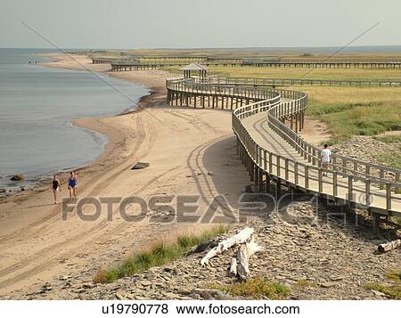 Canada, New Brunswick, Bouctouche, Acadian Coastal Drive, La Dune de Bouctouche, Irving Eco-Centre, Boardwalk across the sand dunes along Bouctouche Bay. View Large Photo Image Stock Photo - Canada, New Brunswick, Bouctouche, Acadian Coastal Drive, La Dune de Bouctouche, Irving Eco-Centre, Boardwalk across the sand dunes along Bouctouche Bay.. Fotosearch