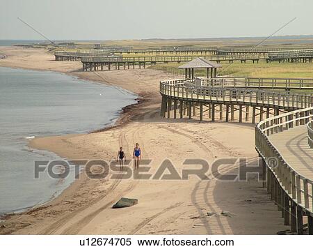 Canada, New Brunswick, Bouctouche, Acadian Coastal Drive, La Dune de Bouctouche, Irving Eco-Centre, Boardwalk across the sand dunes along Bouctouche Bay. View Large Photo Image Stock Photography - Canada, New Brunswick, Bouctouche, Acadian Coastal Drive, La Dune de Bouctouche, Irving Eco-Centre, Boardwalk across the sand dunes along Bouctouche Bay.. Fotosearch