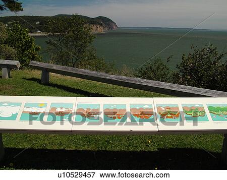 Canada, New Brunswick, Fundy National Park, Bay of Fundy, overlook View Large Photo Image Stock Photo - Canada, New Brunswick, Fundy National Park, Bay of Fundy, overlook. Fotosearch