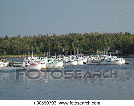 Canada, New Brunswick, Kouchibouguac, Acadian Coastal Drive, Kouchibouguac National Park of Canada, Black River, fishing village View Large Photo Image Stock Image - Canada, New Brunswick, Kouchibouguac, Acadian Coastal Drive, Kouchibouguac National Park of Canada, Black River, fishing village. Fotosearch