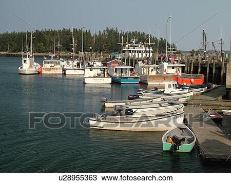 Canada, New Brunswick, Passamaquoddy Bay, Deer Island, fishing boats View Large Photo Image Stock Image - Canada, New Brunswick, Passamaquoddy Bay, Deer Island, fishing boats. Fotosearch