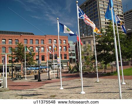 Stock Photo -  Canada, New Brunswick, Saint John, Flags of the Canadian Provinces in downtown St. John. Fotosearch