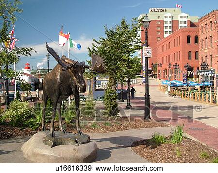 Canada, New Brunswick, Saint John, Moose statue at Loyalist Plaza in St. John View Large Photo Image Stock Photo - Canada, New Brunswick, Saint John, Moose statue at Loyalist Plaza in St. John. Fotosearch