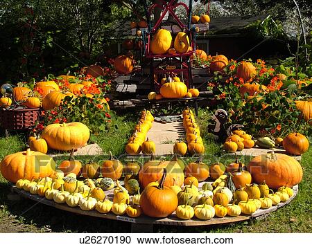 Stock Image -  Canada, New Brunswick, Shepody. Fall decorations and pumpkins displayed at a farm in Shepody . Fotosearch