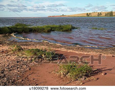 Canada, Prince Edward Island, Gulf of Saint Lawrence, Prince County, Northumberland Strait, scenic coastline View Large Photo Image Stock Photo - Canada, Prince Edward Island, Gulf of Saint Lawrence, Prince County, Northumberland Strait, scenic coastline. Fotosearch