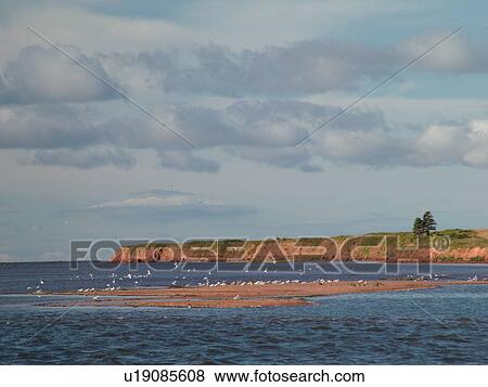 Canada, Prince Edward Island, Gulf of Saint Lawrence, Prince County, Northumberland Strait, scenic coastline View Large Photo Image Stock Photo - Canada, Prince Edward Island, Gulf of Saint Lawrence, Prince County, Northumberland Strait, scenic coastline. Fotosearch