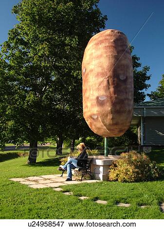 Canada, Prince Edward Island, Prince County, O'Leary, 14 foot Potato displayed outside the Potato Museum and Hall of Fame View Large Photo Image Stock Photo - Canada, Prince Edward Island, Prince County, O'Leary, 14 foot Potato displayed outside the Potato Museum and Hall of Fame. Fotosearch