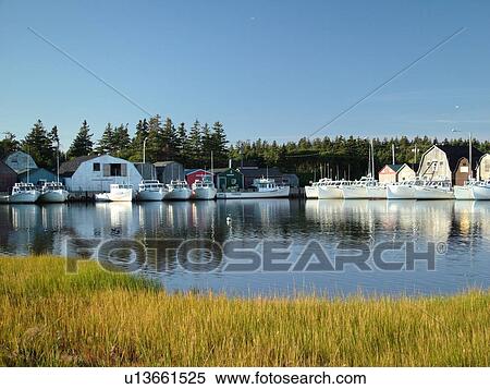 Canada, Prince Edward Island, Prince County, Gulf of Saint Lawrence, Malpeque, fishing village, harbor, fishing boats, marina View Large Photo Image Stock Photography - Canada, Prince Edward Island, Prince County, Gulf of Saint Lawrence, Malpeque, fishing village, harbor, fishing boats, marina. Fotosearch