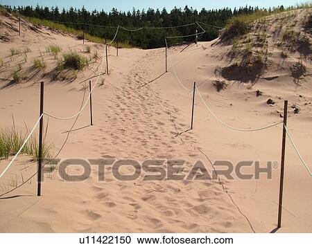 Stock Image -  Canada, Prince Edward Island, Queens County, Gulf of Saint Lawrence, Cavendish Beach, Prince Edward Island National Park, sand dunes, beach. Fotosearch