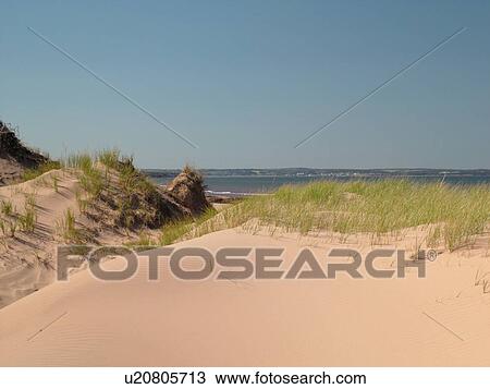 Canada, Prince Edward Island, Queens County, Gulf of Saint Lawrence, Cavendish Beach, Prince Edward Island National Park, sand dunes, beach View Large Photo Image Stock Image - Canada, Prince Edward Island, Queens County, Gulf of Saint Lawrence, Cavendish Beach, Prince Edward Island National Park, sand dunes, beach. Fotosearch