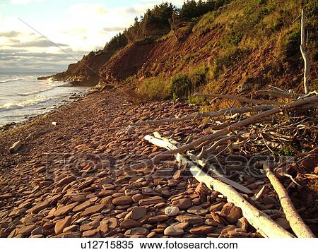 Canada, Prince Edward Island, Queens County, Gulf of Saint Lawrence, Cavendish Beach, Prince Edward Island National Park, scenic coastline View Large Photo Image Stock Photography - Canada, Prince Edward Island, Queens County, Gulf of Saint Lawrence, Cavendish Beach, Prince Edward Island National Park, scenic coastline. Fotosearch
