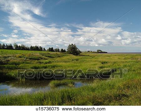 Canada, Prince Edward Island, Queens County, Gulf of Saint Lawrence, North Rustico, fishing village View Large Photo Image Stock Photography - Canada, Prince Edward Island, Queens County, Gulf of Saint Lawrence, North Rustico, fishing village. Fotosearch