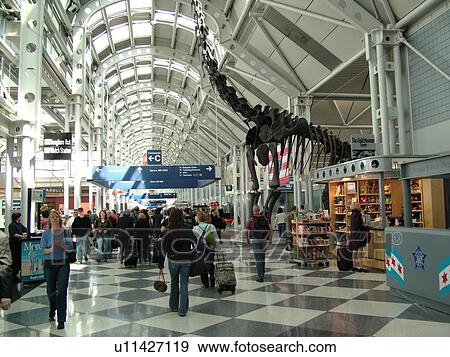 Chicago, Il, Illinois, O'Hare International airport, hub, interior, concourse View Large Photo Image Stock Photo - Chicago, Il, Illinois, O'Hare International airport, hub, interior, concourse. Fotosearch