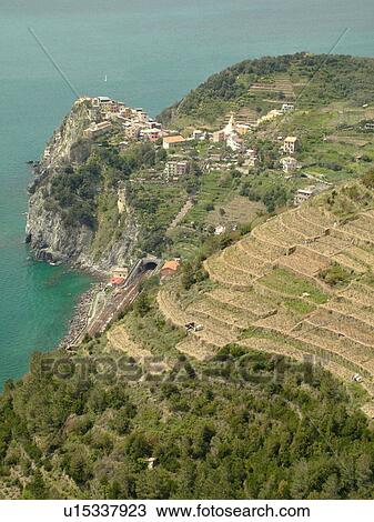 Cinque Terre, Liguria, Italy, Corniglia, Riviera di Levante, Ligurian Riviera, Europe, Scenic view of Corniglia, a Cinque Terre village, and the vineyards on the steep slopes of the Ligurian Sea. View Large Photo Image Stock Image - Cinque Terre, Liguria, Italy, Corniglia, Riviera di Levante, Ligurian Riviera, Europe, Scenic view of Corniglia, a Cinque Terre village, and the vineyards on the steep slopes of the Ligurian Sea.. Fotosearch