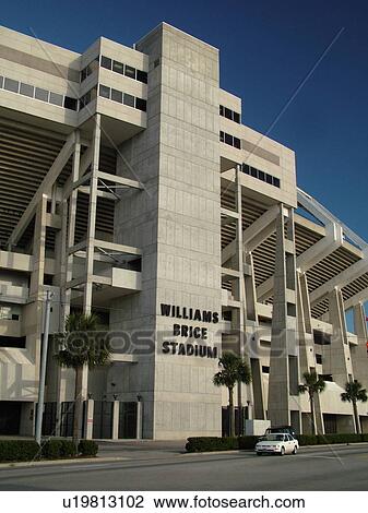 Columbia, SC, South Carolina, Williams Brice Stadium View Large Photo Image Stock Image - Columbia, SC, South Carolina, Williams Brice Stadium. Fotosearch
