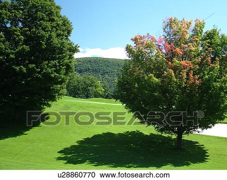 Cooperstown, NY, New York, Leatherstocking Golf Course, The Ostesaga Resort Hotel View Large Photo Image Stock Image - Cooperstown, NY, New York, Leatherstocking Golf Course, The Ostesaga Resort Hotel. Fotosearch