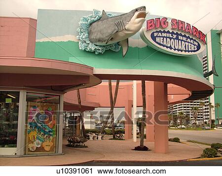 Daytona Beach, FL, Florida, Big Shark Family Headquarters, store View Large Photo Image Stock Image - Daytona Beach, FL, Florida, Big Shark Family Headquarters, store. Fotosearch