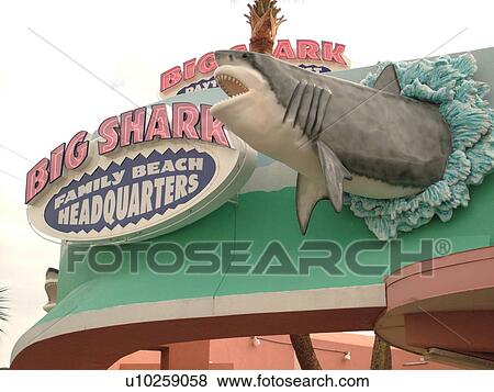 Daytona Beach, FL, Florida, Big Shark Family Headquarters, store View Large Photo Image Stock Photo - Daytona Beach, FL, Florida, Big Shark Family Headquarters, store. Fotosearch