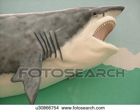 Picture -  Daytona Beach, FL, Florida, shark sculpture. Fotosearch