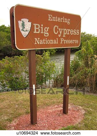 Everglades City, FL, Florida, Big Cypress National Preserve, entrance sign View Large Photo Image Picture - Everglades City, FL, Florida, Big Cypress National Preserve, entrance sign. Fotosearch