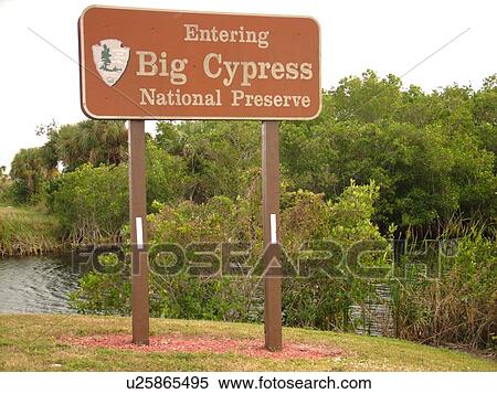 Everglades City, FL, Florida, Big Cypress National Preserve, entrance sign View Large Photo Image Stock Photography - Everglades City, FL, Florida, Big Cypress National Preserve, entrance sign. Fotosearch