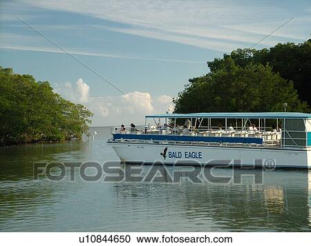 Everglades National Park, FL, Florida, Flamingo, Visitor Center, Cruise Boat, excursion View Large Photo Image Stock Image - Everglades National Park, FL, Florida, Flamingo, Visitor Center, Cruise Boat, excursion. Fotosearch