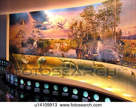 Stock Image -  Everglades National Park, FL, Florida, Ernest E. Coe Visitor Center, interior. Fotosearch