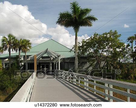 Everglades National Park, FL, Florida, Ernest E. Coe Visitor Center View Large Photo Image Stock Image - Everglades National Park, FL, Florida, Ernest E. Coe Visitor Center. Fotosearch