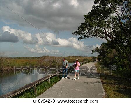 Stock Photo -  Everglades National Park, FL, Florida, Anhinga Trail. Fotosearch