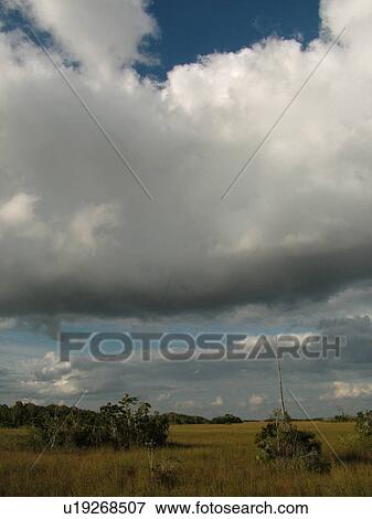 Stock Photo -  Everglades National Park, FL, Florida, wetlands, freshwater marsh. Fotosearch