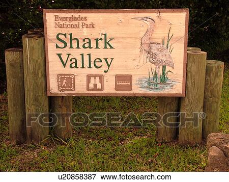 Everglades National Park, FL, Florida, Shark Valley, entrance sign View Large Photo Image Stock Photo - Everglades National Park, FL, Florida, Shark Valley, entrance sign. Fotosearch