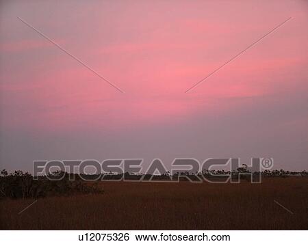 Stock Photograph -  Everglades National Park, FL, Florida, Flamingo, sunset. Fotosearch