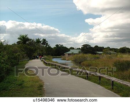 Stock Photograph -  Everglades National Park, FL, Florida, Anhinga Trail. Fotosearch