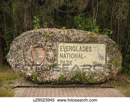 Everglades National Park, FL, Florida, Entrance View Large Photo Image Stock Photography - Everglades National Park, FL, Florida, Entrance . Fotosearch