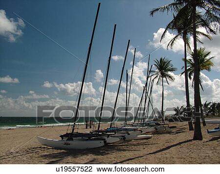 Fort Lauderdale, FL, Florida, beach, sailboats, catamarans View Large Photo Image Stock Image - Fort Lauderdale, FL, Florida, beach, sailboats, catamarans. Fotosearch