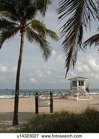 Fort Lauderdale, FL, Florida, Fort Lauderdale Beach, lifeguard hut View Large Photo Image Stock Photo - Fort Lauderdale, FL, Florida, Fort Lauderdale Beach, lifeguard hut. Fotosearch