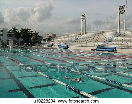 Fort Lauderdale, FL, Florida, International Swimming Hall of Fame, Olympic Pool View Large Photo Image Picture - Fort Lauderdale, FL, Florida, International Swimming Hall of Fame, Olympic Pool. Fotosearch