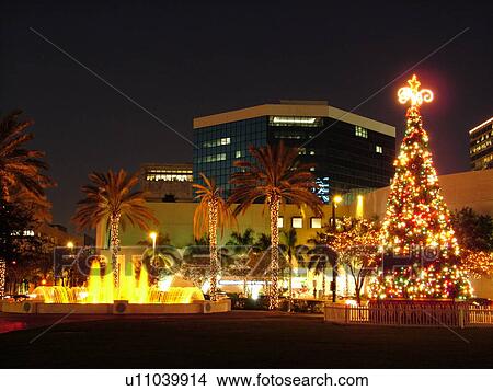 Picture -  Fort Lauderdale, FL, Florida, downtown, Bubier Park, Musical Fountain, Christmas Tree, evening. Fotosearch