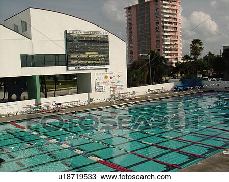 Fort Lauderdale, FL, Florida, International Swimming Hall of Fame, Olympic Pool View Large Photo Image Stock Image - Fort Lauderdale, FL, Florida, International Swimming Hall of Fame, Olympic Pool. Fotosearch