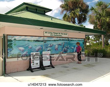 Stock Image -  Fort Myers, FL, Florida, Lee County Manatee Park. Fotosearch