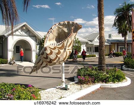 Fort Myers, FL, Florida, Shell Factory, largest souvenir shop, shells View Large Photo Image Stock Image -  Fort Myers, FL, Florida, Shell Factory, largest souvenir shop, shells. Fotosearch