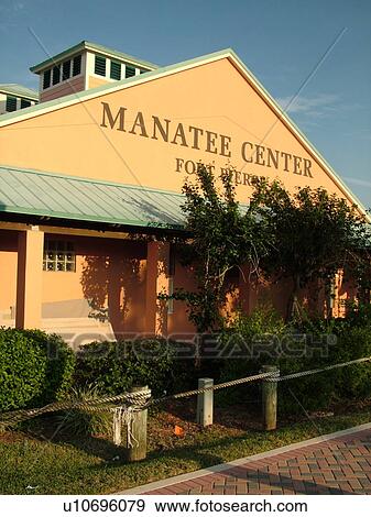 Fort Pierce, FL, Florida, Indian River, Manatee Center, Intercoastal Waterway View Large Photo Image Stock Photo - Fort Pierce, FL, Florida, Indian River, Manatee Center, Intercoastal Waterway. Fotosearch