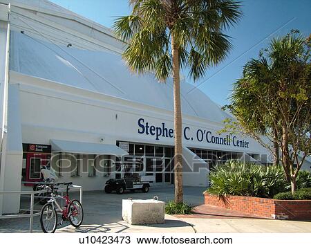 Gainesville, FL, Florida, UF, University of Florida, Stephen C. O'Connell Center View Large Photo Image Stock Image -  Gainesville, FL, Florida, UF, University of Florida, Stephen C. O'Connell Center. Fotosearch