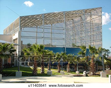 Gainesville, FL, Florida, UF, University of Florida, Florida Museum of Natural History in the University of Florida Cultural Plaza, The Butterfly Rainforest View Large Photo Image Stock Image - Gainesville, FL, Florida, UF, University of Florida, Florida Museum of Natural History in the University of Florida Cultural Plaza, The Butterfly Rainforest. Fotosearch