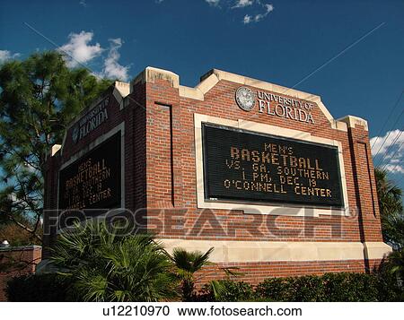 Gainesville, FL, Florida, UF, University of Florida, entrance View Large Photo Image Stock Image - Gainesville, FL, Florida, UF, University of Florida, entrance. Fotosearch
