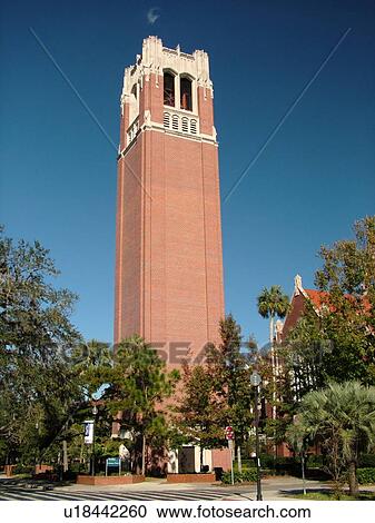 Gainesville, FL, Florida, UF, University of Florida, Century Tower, University Auditorium Campus View Large Photo Image Stock Image - Gainesville, FL, Florida, UF, University of Florida, Century Tower, University Auditorium Campus. Fotosearch