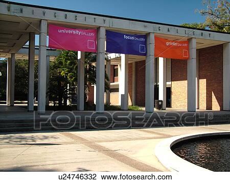 Gainesville, FL, Florida, UF, University of Florida, University Gallery View Large Photo Image Stock Image -  Gainesville, FL, Florida, UF, University of Florida, University Gallery. Fotosearch
