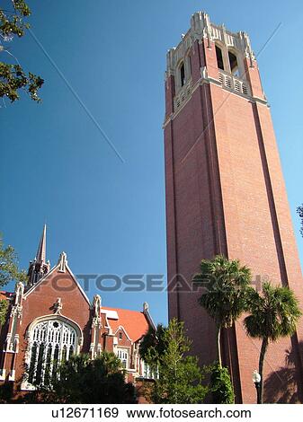 Gainesville, FL, Florida, UF, University of Florida, Century Tower, University Auditorium Campus View Large Photo Image Stock Photo -  Gainesville, FL, Florida, UF, University of Florida, Century Tower, University Auditorium Campus. Fotosearch